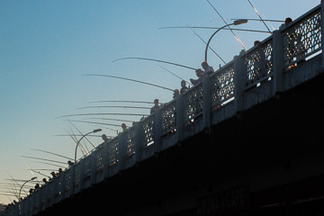 2013-0620.jpg