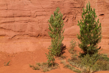 2015-0455.jpg 2015-0455.jpg