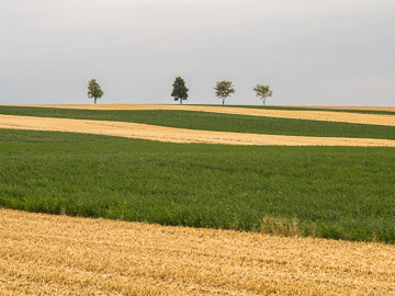 2015-0463.jpg 2015-0463.jpg