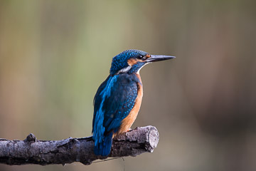 2016-0304.jpg 2016-0304.jpg