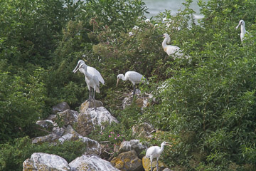 2017-0055.jpg