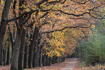 2019-0304.jpg 2019-0304.jpg