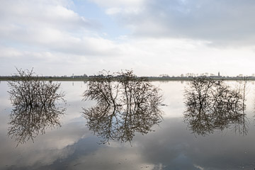 2021-0011.jpg