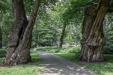 2021-0103.jpg