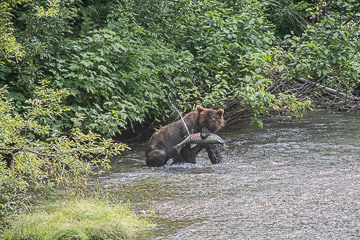 2022-0138.jpg 2022-0138.jpg