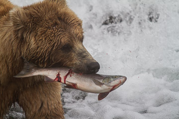 Alaska Alaska