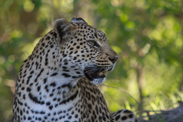 Botswana Botswana