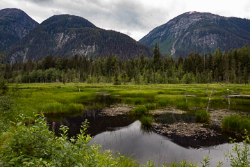 2022-0141.jpg 2022-0141.jpg