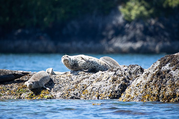 2022-0150.jpg 2022-0150.jpg