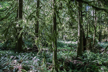 2022-0166.jpg 2022-0166.jpg