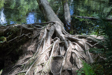 2022-0167.jpg 2022-0167.jpg