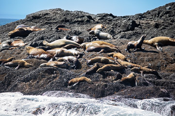 2022-0176.jpg 2022-0176.jpg