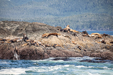 2022-0177.jpg 2022-0177.jpg