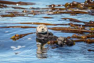 2022-0179.jpg 2022-0179.jpg