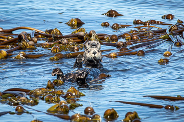 2022-0181.jpg 2022-0181.jpg