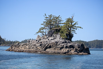 2022-0182.jpg 2022-0182.jpg