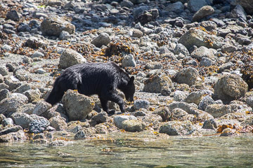 2022-0184.jpg 2022-0184.jpg