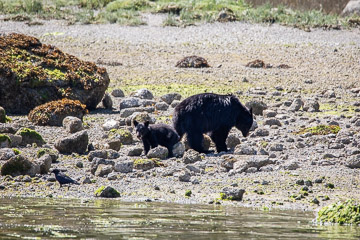 2022-0186.jpg 2022-0186.jpg