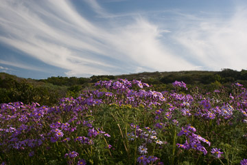 2009-0960.jpg