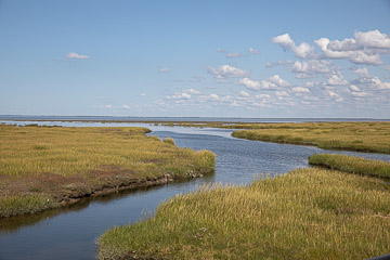 2021-0195.jpg