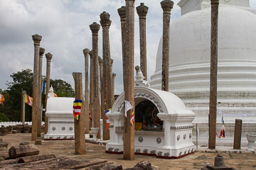2015-0087.jpg