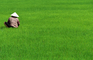 Vietnam Vietnam